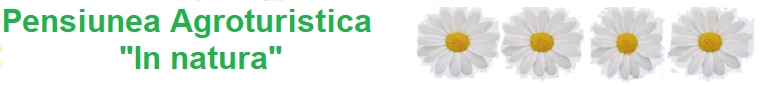 Pensiunea Agroturistica 